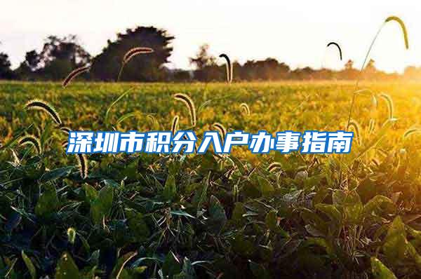 深圳市积分入户办事指南