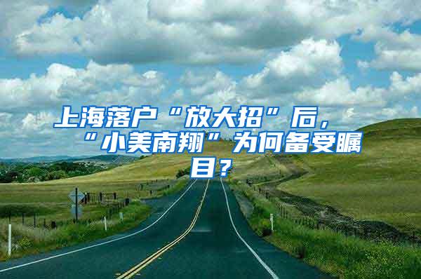 上海落户“放大招”后，“小美南翔”为何备受瞩目？