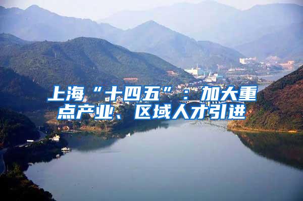 上海“十四五”：加大重点产业、区域人才引进