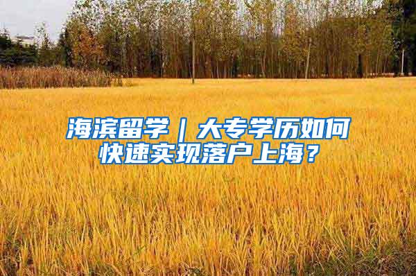 海滨留学｜大专学历如何快速实现落户上海？