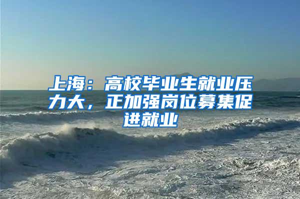 上海：高校毕业生就业压力大，正加强岗位募集促进就业