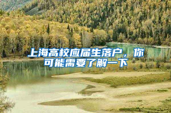 上海高校应届生落户，你可能需要了解一下