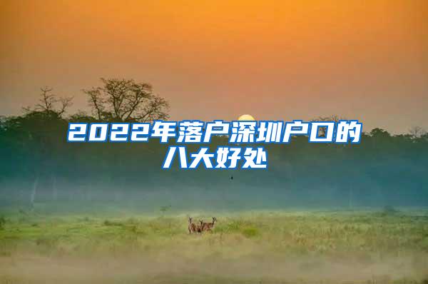 2022年落户深圳户口的八大好处
