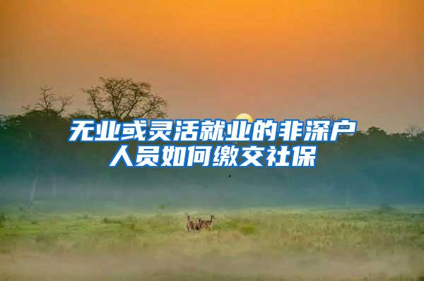 无业或灵活就业的非深户人员如何缴交社保