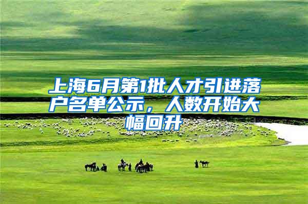 上海6月第1批人才引进落户名单公示，人数开始大幅回升