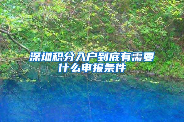 深圳积分入户到底有需要什么申报条件