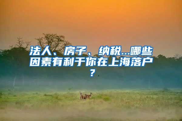 法人、房子、纳税...哪些因素有利于你在上海落户？