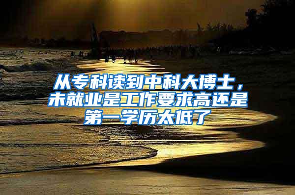 从专科读到中科大博士，未就业是工作要求高还是第一学历太低了