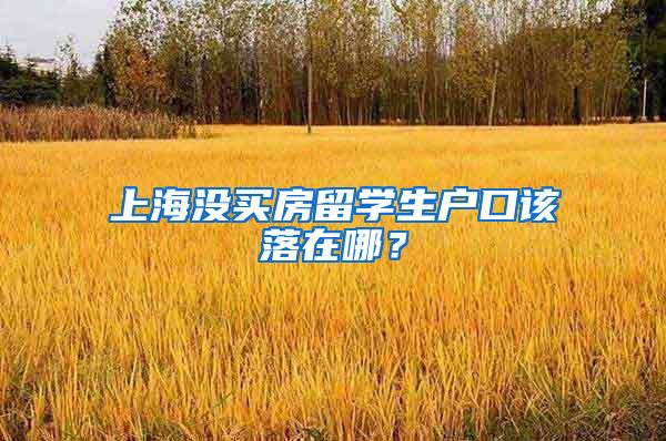 上海没买房留学生户口该落在哪？