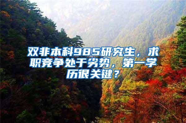 双非本科985研究生，求职竞争处于劣势，第一学历很关键？