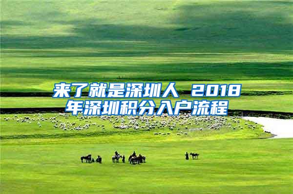 来了就是深圳人 2018年深圳积分入户流程