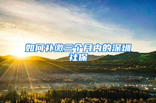 如何补缴三个月内的深圳社保