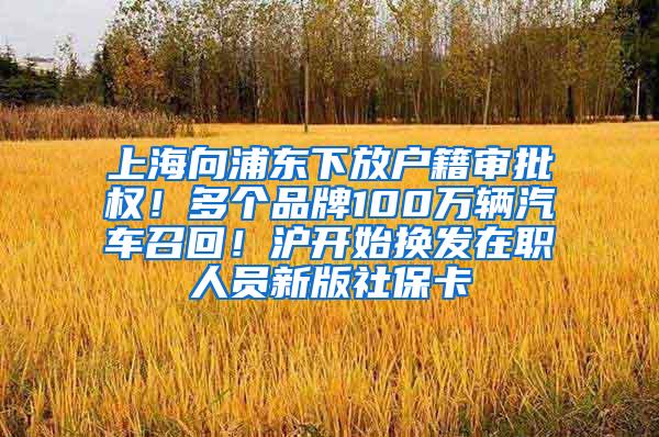 上海向浦东下放户籍审批权！多个品牌100万辆汽车召回！沪开始换发在职人员新版社保卡