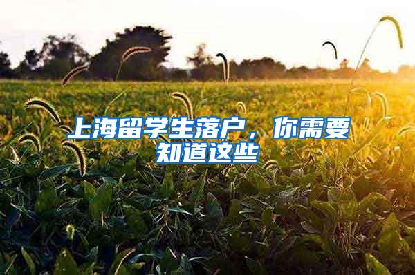 上海留学生落户，你需要知道这些