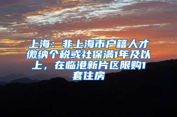 上海：非上海市户籍人才缴纳个税或社保满1年及以上，在临港新片区限购1套住房