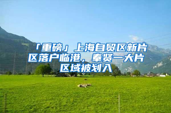 「重磅」上海自贸区新片区落户临港，奉贤一大片区域被划入