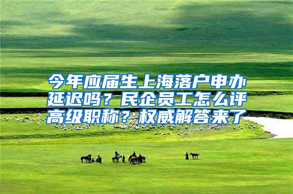 今年应届生上海落户申办延迟吗？民企员工怎么评高级职称？权威解答来了