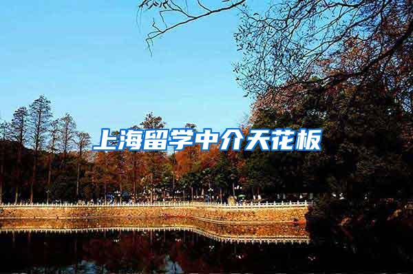 上海留学中介天花板