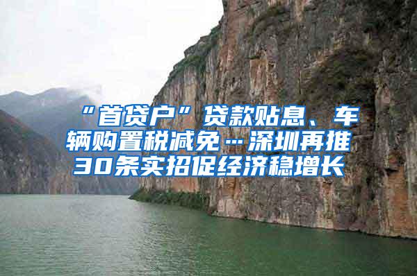 “首贷户”贷款贴息、车辆购置税减免…深圳再推30条实招促经济稳增长