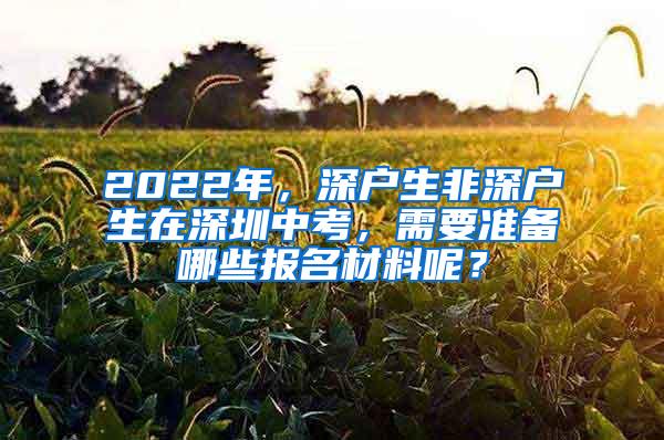 2022年，深户生非深户生在深圳中考，需要准备哪些报名材料呢？