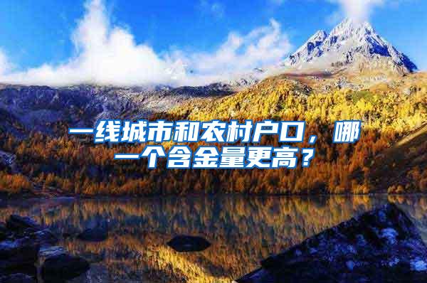 一线城市和农村户口，哪一个含金量更高？