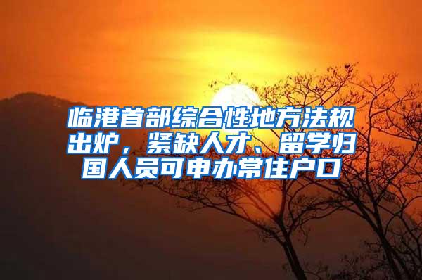 临港首部综合性地方法规出炉，紧缺人才、留学归国人员可申办常住户口