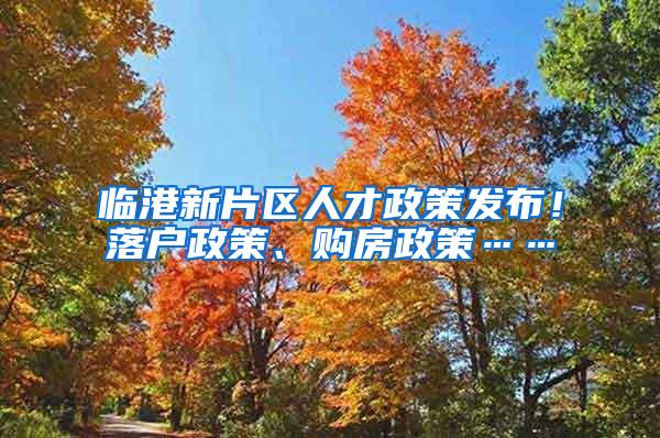 临港新片区人才政策发布！落户政策、购房政策……