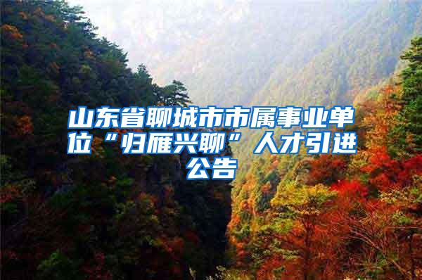 山东省聊城市市属事业单位“归雁兴聊”人才引进公告