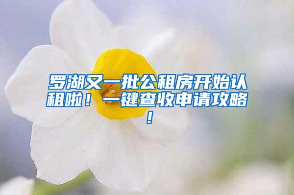 罗湖又一批公租房开始认租啦！一键查收申请攻略！
