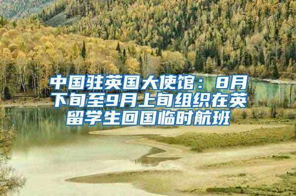 中国驻英国大使馆：8月下旬至9月上旬组织在英留学生回国临时航班