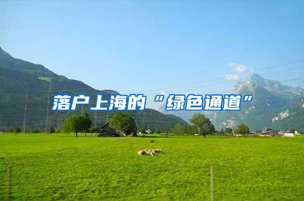 落户上海的“绿色通道”