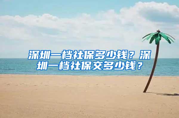 深圳一档社保多少钱？深圳一档社保交多少钱？