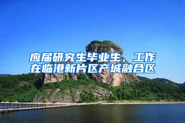 应届研究生毕业生，工作在临港新片区产城融合区