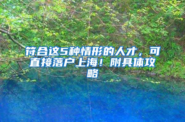 符合这5种情形的人才，可直接落户上海！附具体攻略