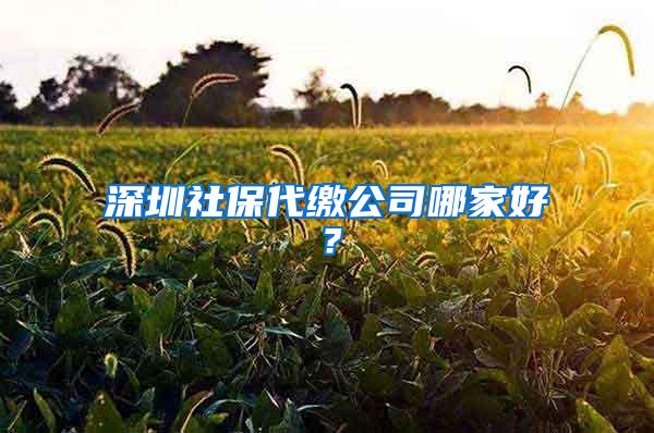深圳社保代缴公司哪家好？
