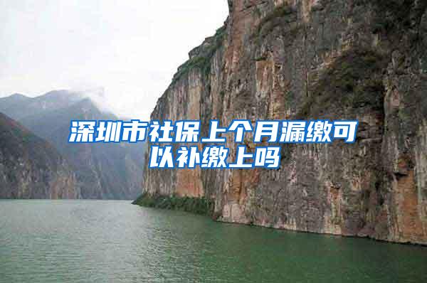 深圳市社保上个月漏缴可以补缴上吗