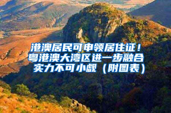 港澳居民可申领居住证！粤港澳大湾区进一步融合 实力不可小觑（附图表）