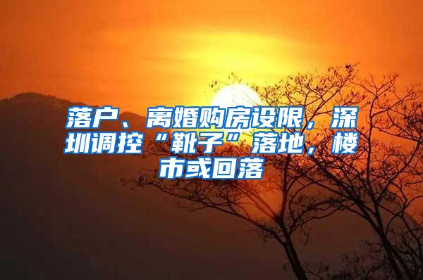 落户、离婚购房设限，深圳调控“靴子”落地，楼市或回落