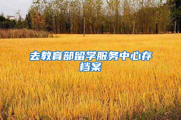去教育部留学服务中心存档案