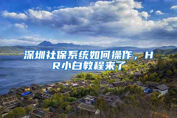 深圳社保系统如何操作，HR小白教程来了