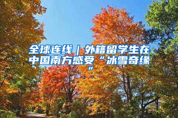 全球连线｜外籍留学生在中国南方感受“冰雪奇缘”