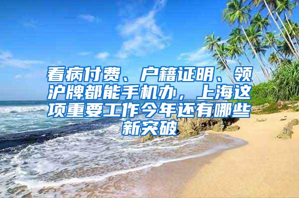 看病付费、户籍证明、领沪牌都能手机办，上海这项重要工作今年还有哪些新突破