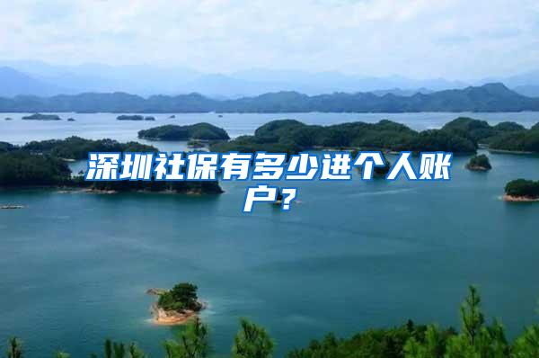 深圳社保有多少进个人账户？