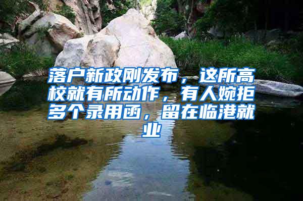 落户新政刚发布，这所高校就有所动作，有人婉拒多个录用函，留在临港就业