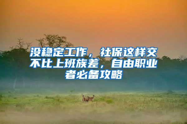 没稳定工作，社保这样交不比上班族差，自由职业者必备攻略