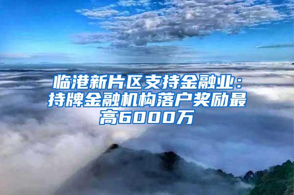 临港新片区支持金融业：持牌金融机构落户奖励最高6000万