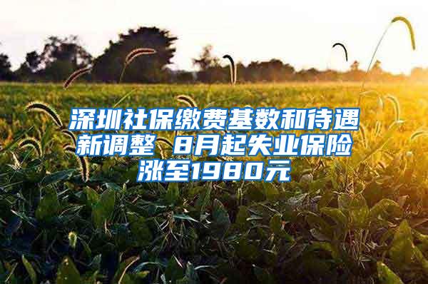 深圳社保缴费基数和待遇新调整 8月起失业保险涨至1980元