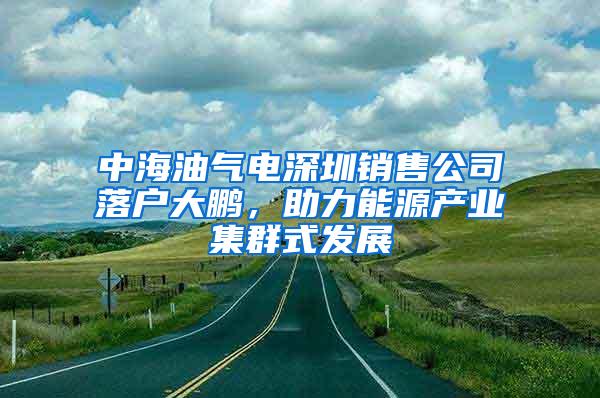 中海油气电深圳销售公司落户大鹏，助力能源产业集群式发展