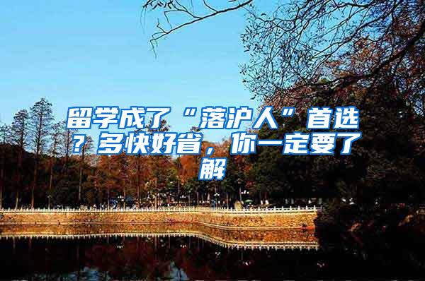 留学成了“落沪人”首选？多快好省，你一定要了解