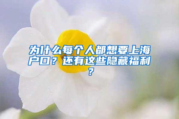为什么每个人都想要上海户口？还有这些隐藏福利？